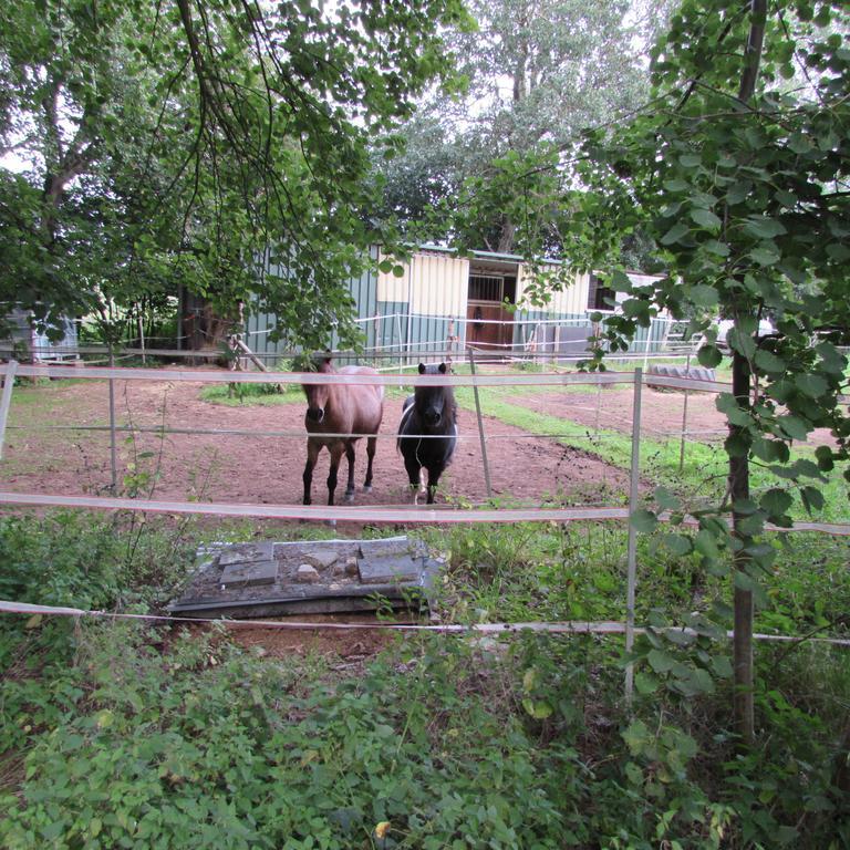 Ferienwohnung "Eifelstueffje" Mechernich Rom bilde